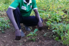 WhatsApp-Image-2025-12-10-at-09.54.05