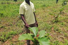 WhatsApp-Image-2025-12-10-at-16.21.38