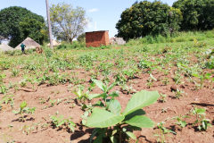 WhatsApp-Image-2025-12-10-at-16.37.12-1