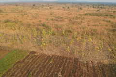 DCIM/100MEDIA/DJI_0446.JPG