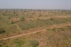 DCIM/100MEDIA/DJI_0463.JPG