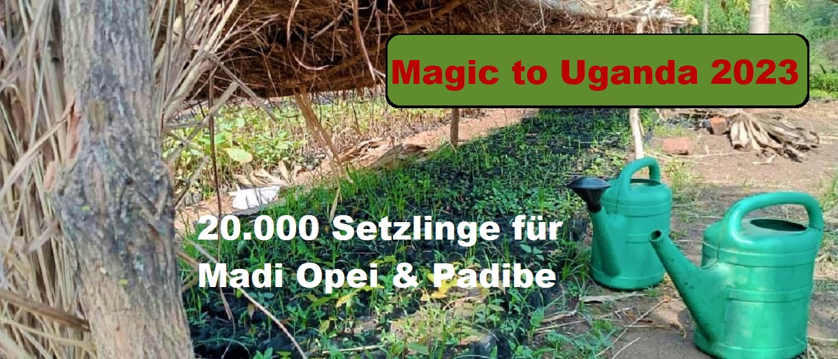 Permalink auf:Magic to Uganda (’23) – Spendenseite