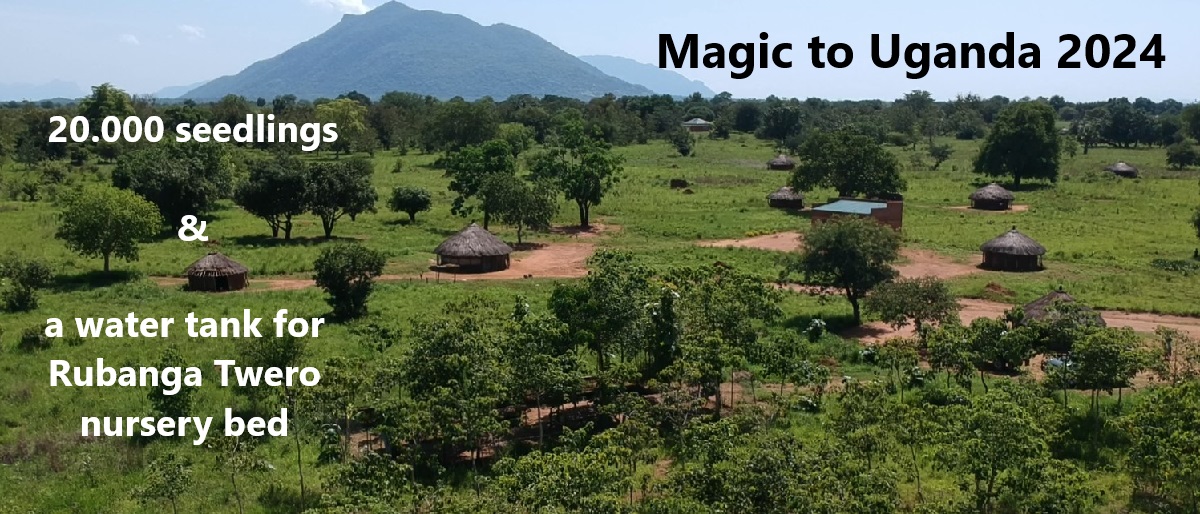 Permalink auf:Magic to Uganda (’24) – ein Wassertank und 20.000 Setzlinge für Madi Opei