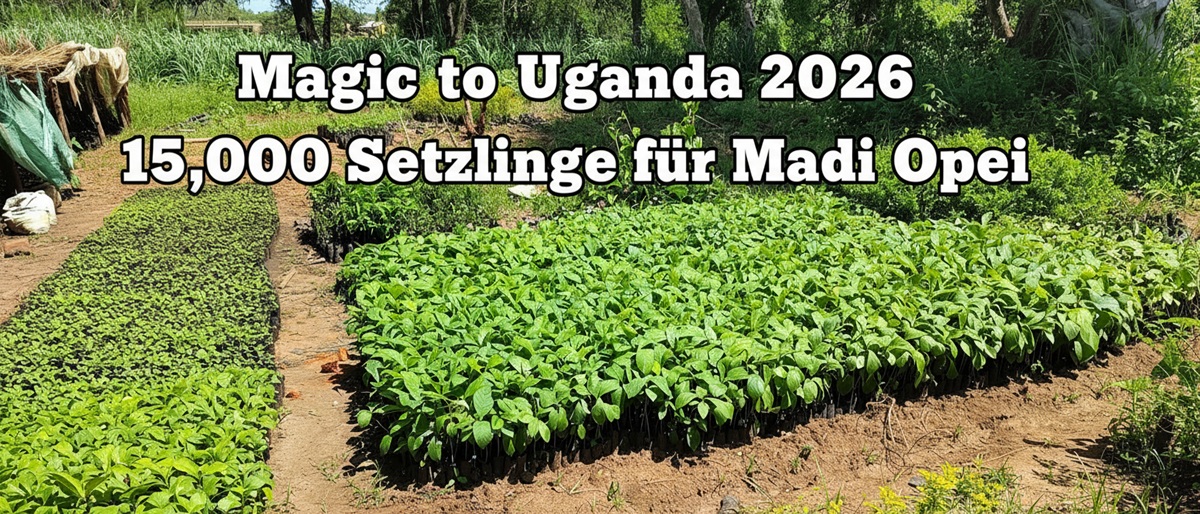 Permalink auf:Magic to Uganda (’26)